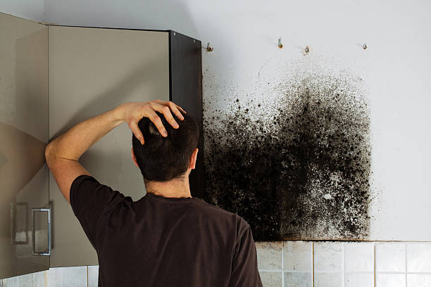 Home Mold Removal in Sevierville, TN